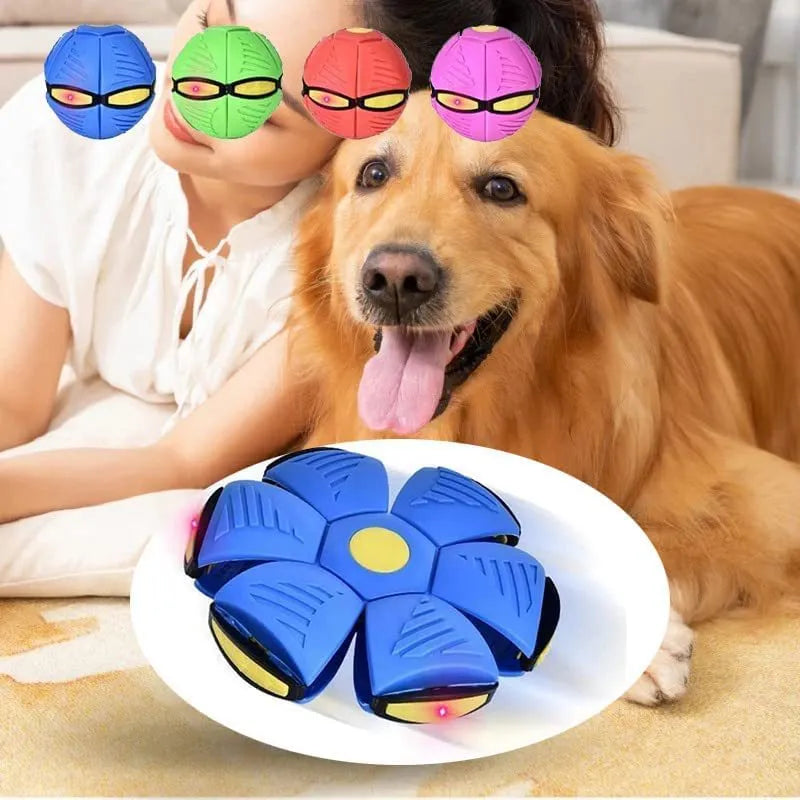 UFO Frisbee Ball Interactive Indoor/Outdoor Training Games for Pets and Family