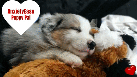 AnxietyEase Puppy Pal: Your Pet's Comfort Companion