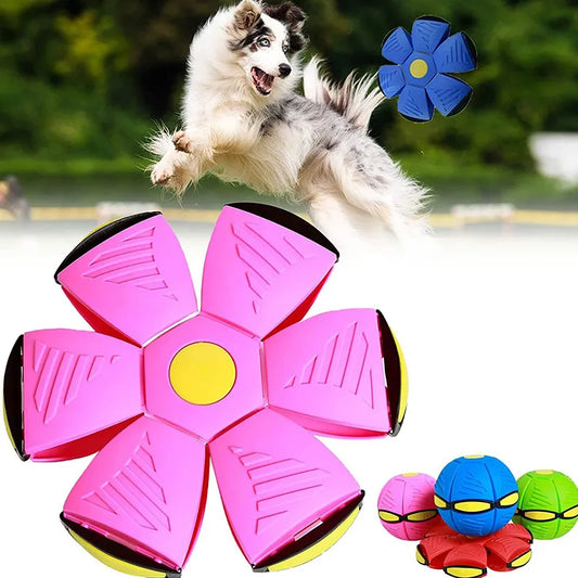 UFO Frisbee Ball Interactive Indoor/Outdoor Training Games for Pets and Family